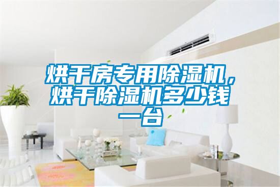 烘干房專用除濕機，烘干除濕機多少錢一臺