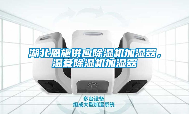 湖北恩施供應除濕機加濕器，濕菱除濕機加濕器