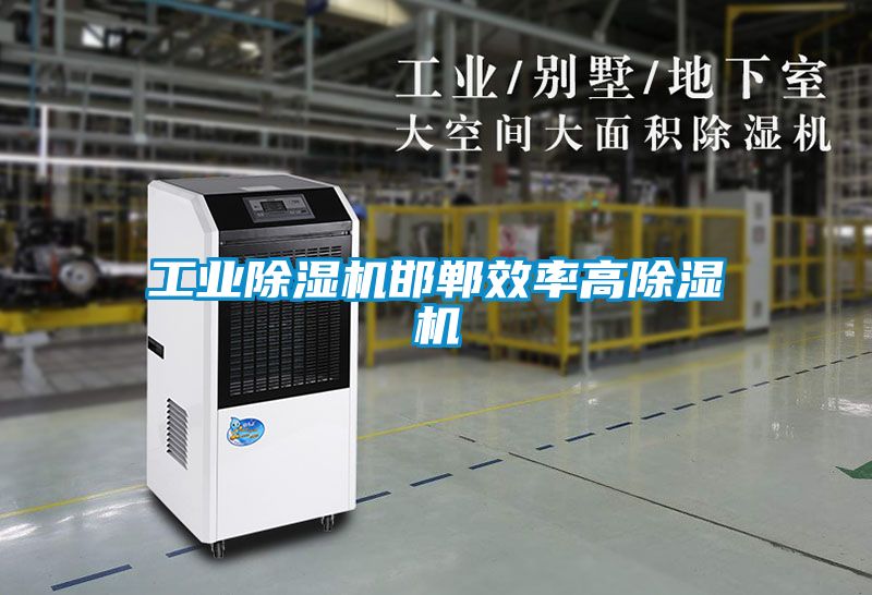 工業除濕機邯鄲效率高除濕機