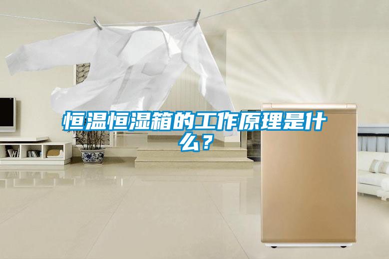 恒溫恒濕箱的工作原理是什么？