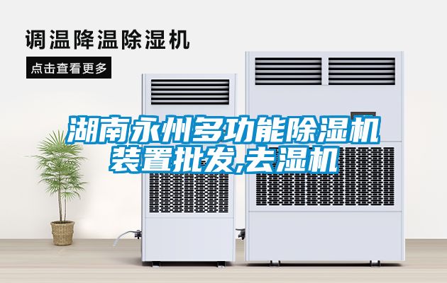 湖南永州多功能除濕機裝置批發,去濕機