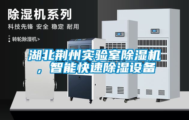 湖北荊州實驗室除濕機，智能快速除濕設備