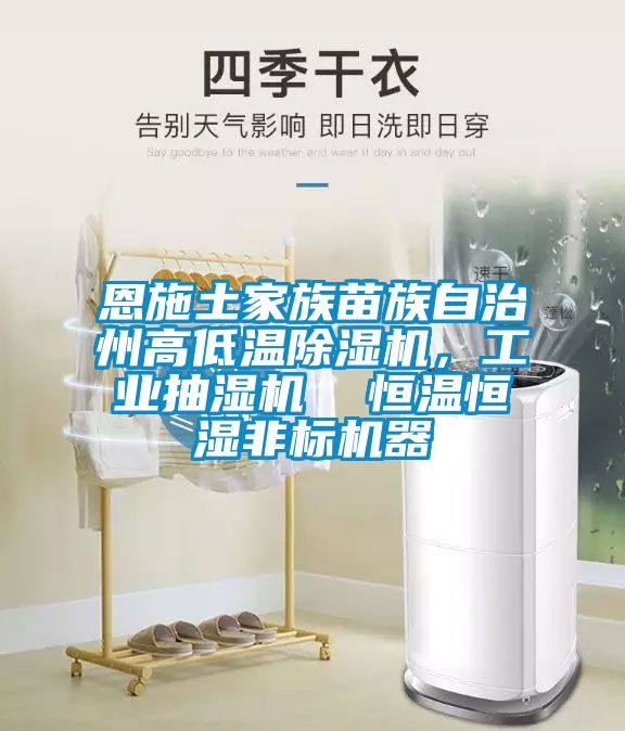 恩施土家族苗族自治州高低溫除濕機，工業抽濕機  恒溫恒濕非標機器