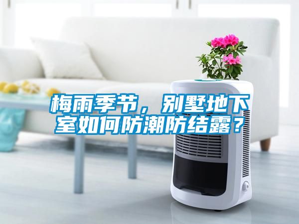 梅雨季節，別墅地下室如何防潮防結露？