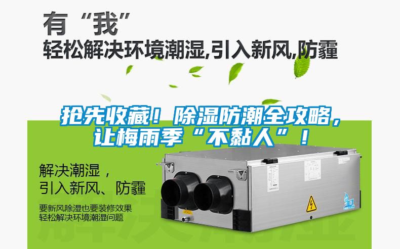 搶先收藏！除濕防潮全攻略，讓梅雨季“不黏人”！