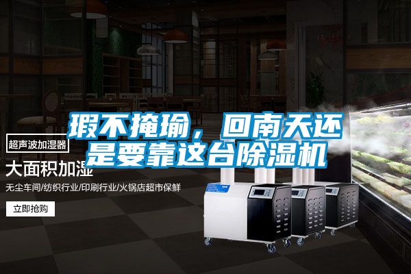 瑕不掩瑜，回南天還是要靠這臺除濕機