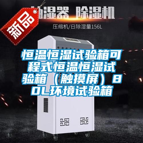 恒溫恒濕試驗箱可程式恒溫恒濕試驗箱（觸摸屏）80L環境試驗箱