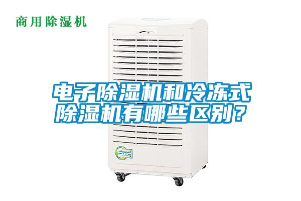 電子除濕機和冷凍式除濕機有哪些區別？