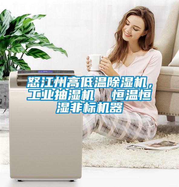 怒江州高低溫除濕機，工業抽濕機  恒溫恒濕非標機器
