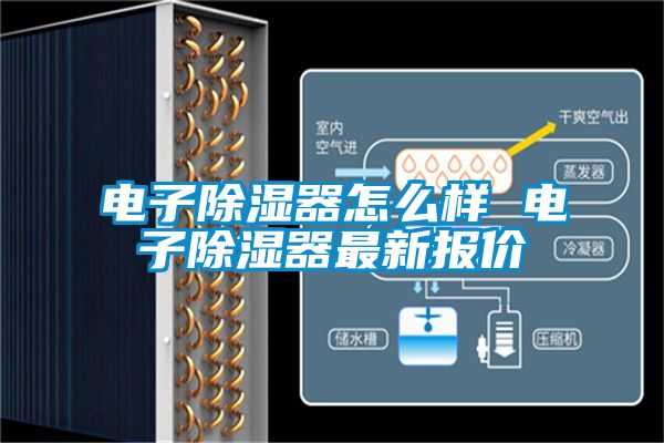 電子除濕器怎么樣 電子除濕器最新報價