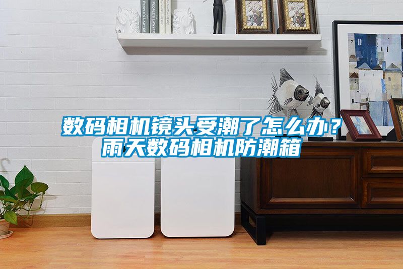數碼相機鏡頭受潮了怎么辦？雨天數碼相機防潮箱