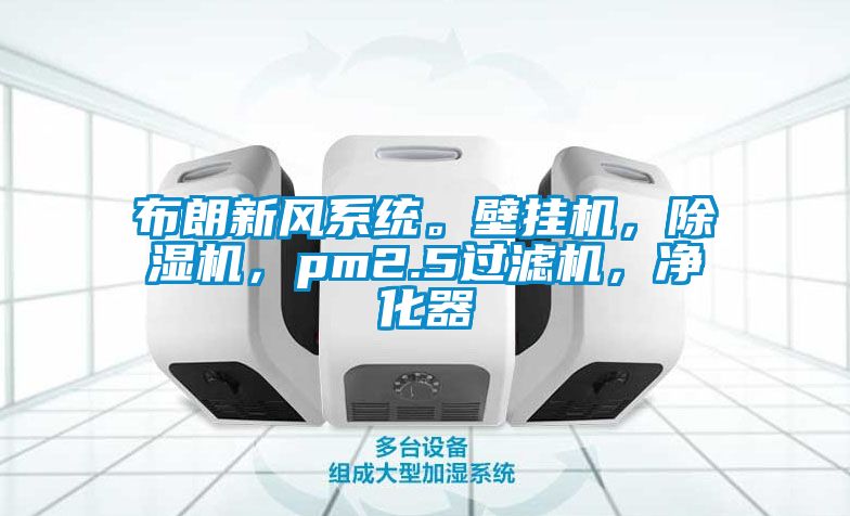 布朗新風系統。壁掛機，除濕機，pm2.5過濾機，凈化器