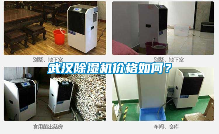 武漢除濕機價格如何？