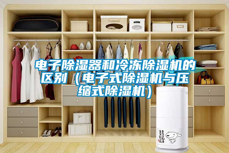 電子除濕器和冷凍除濕機的區別（電子式除濕機與壓縮式除濕機）
