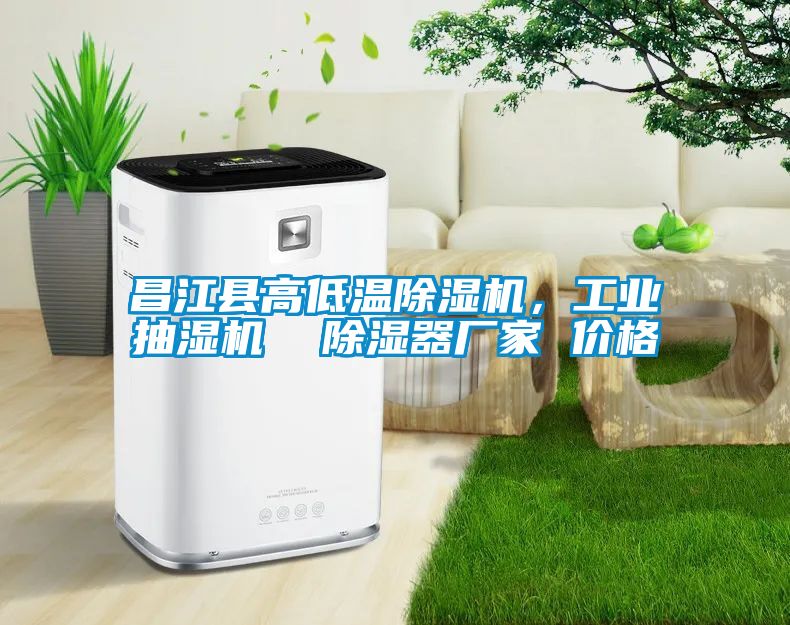 昌江縣高低溫除濕機，工業抽濕機  除濕器廠家 價格