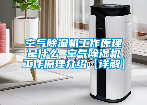 空氣除濕機工作原理是什么 空氣除濕機工作原理介紹【詳解】