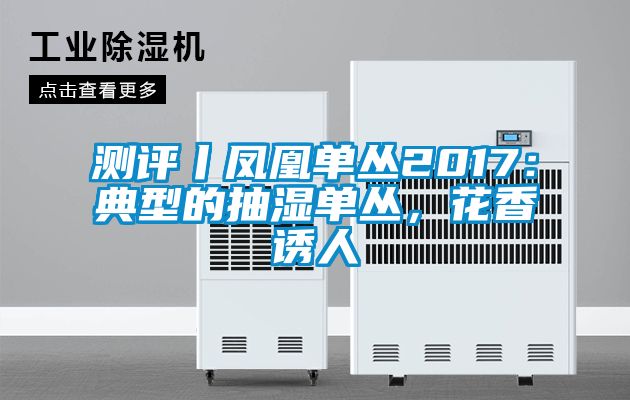 測評丨鳳凰單叢2017：典型的抽濕單叢，花香誘人
