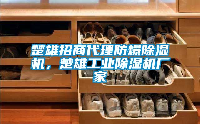 楚雄招商代理防爆除濕機，楚雄工業除濕機廠家