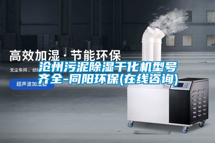 滄州污泥除濕干化機型號齊全-同陽環保(在線咨詢)