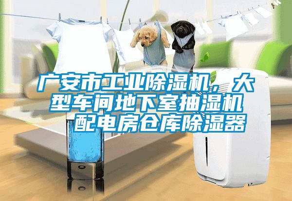 廣安市工業除濕機，大型車間地下室抽濕機  配電房倉庫除濕器