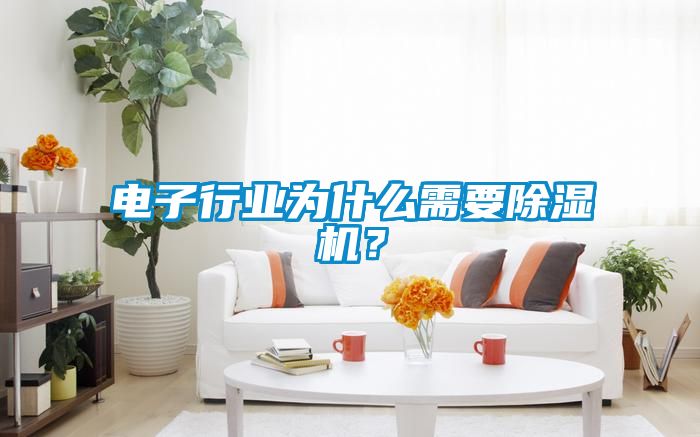 電子行業為什么需要除濕機？