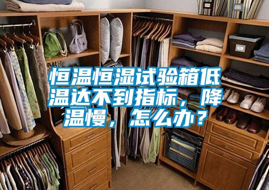恒溫恒濕試驗箱低溫達不到指標，降溫慢，怎么辦？