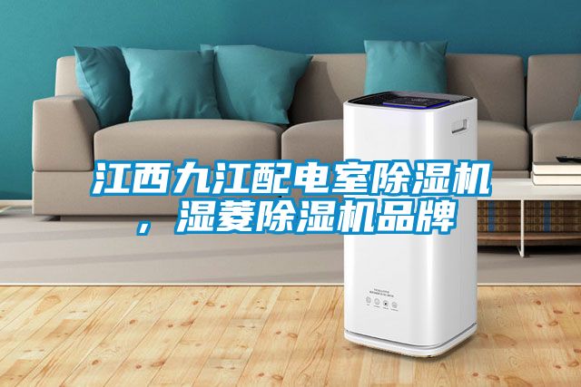江西九江配電室除濕機，濕菱除濕機品牌