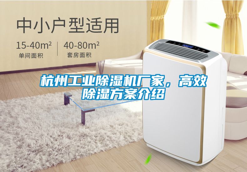 杭州工業除濕機廠家，高效除濕方案介紹