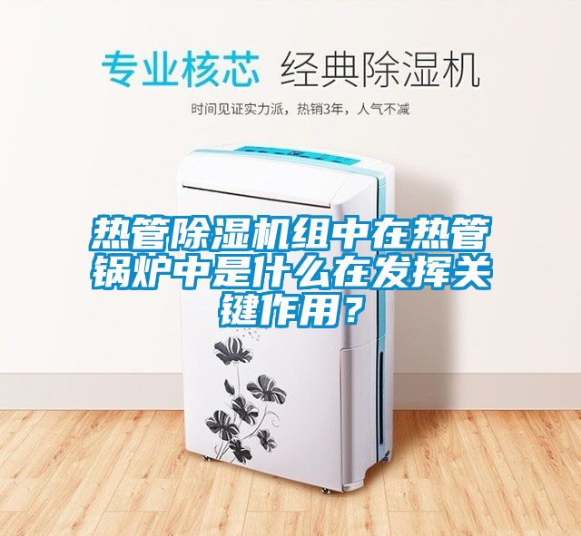 熱管除濕機組中在熱管鍋爐中是什么在發揮關鍵作用？