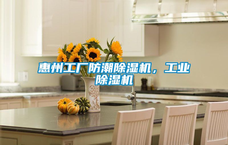 惠州工廠防潮除濕機，工業除濕機