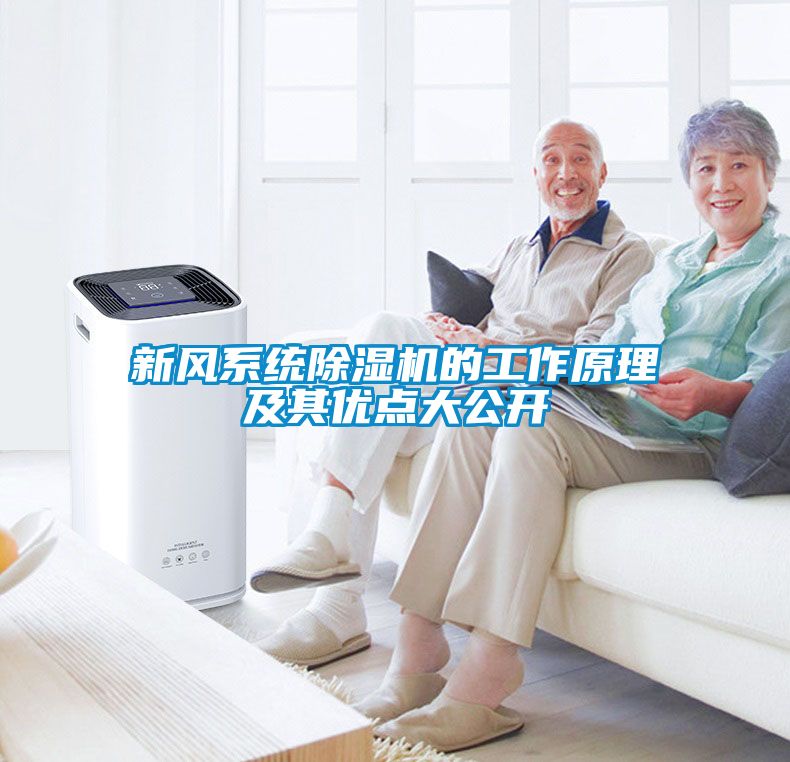 新風系統除濕機的工作原理及其優點大公開