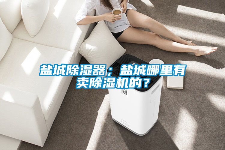 鹽城除濕器；鹽城哪里有賣除濕機的？