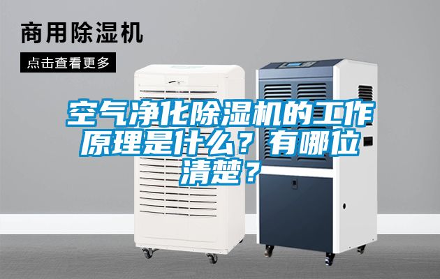 空氣凈化除濕機的工作原理是什么？有哪位清楚？
