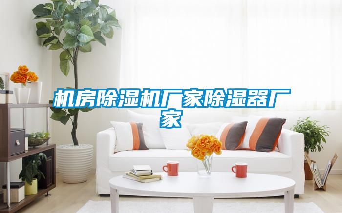 機房除濕機廠家除濕器廠家
