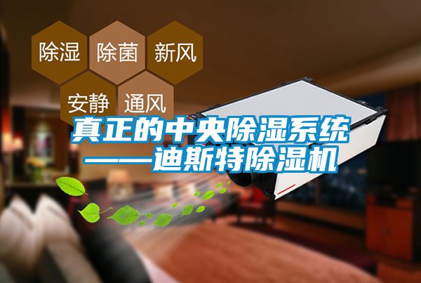 真正的中央除濕系統——迪斯特除濕機