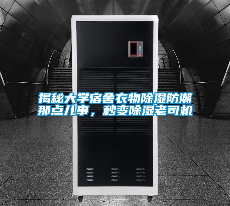 揭秘大學宿舍衣物除濕防潮那點兒事，秒變除濕老司機