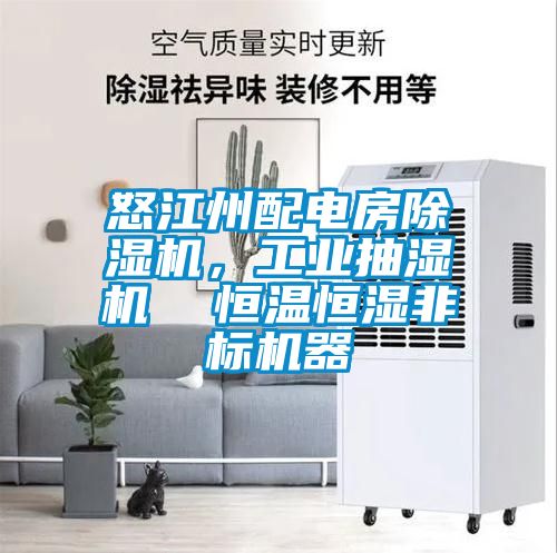 怒江州配電房除濕機，工業抽濕機  恒溫恒濕非標機器