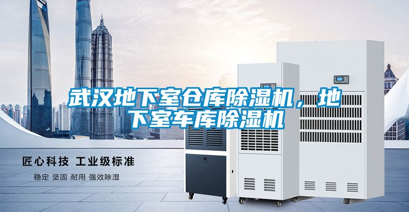 武漢地下室倉庫除濕機，地下室車庫除濕機