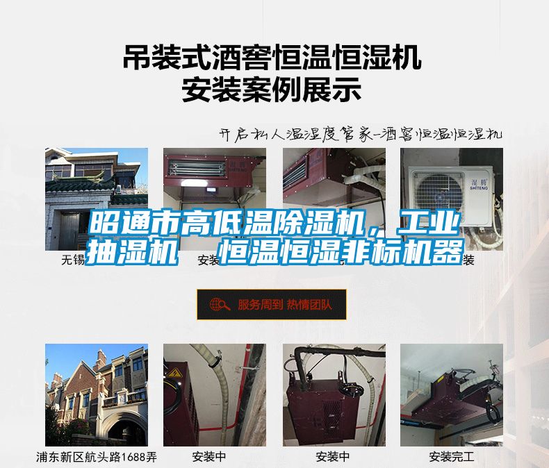 昭通市高低溫除濕機，工業抽濕機  恒溫恒濕非標機器