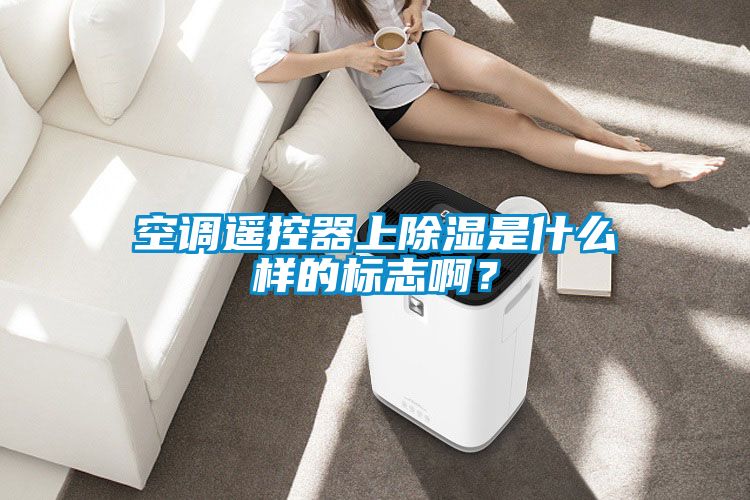 空調遙控器上除濕是什么樣的標志?。?/></p>
<p style=
