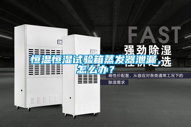 恒溫恒濕試驗箱蒸發器泄漏，怎么辦？