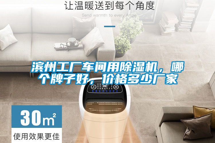 濱州工廠車間用除濕機，哪個牌子好，價格多少廠家