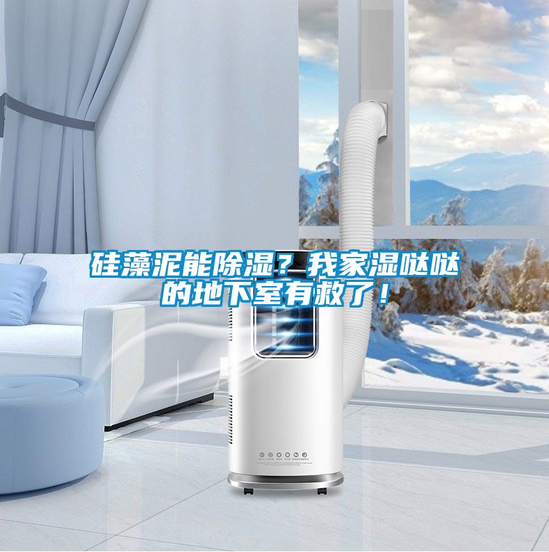 硅藻泥能除濕？我家濕噠噠的地下室有救了！