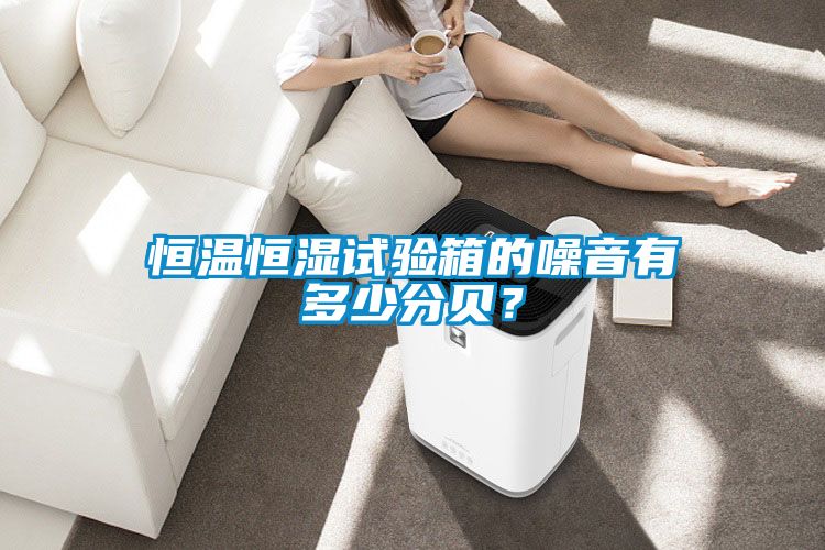 恒溫恒濕試驗箱的噪音有多少分貝？