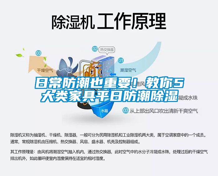 日常防潮也重要！教你5大類家具平日防潮除濕