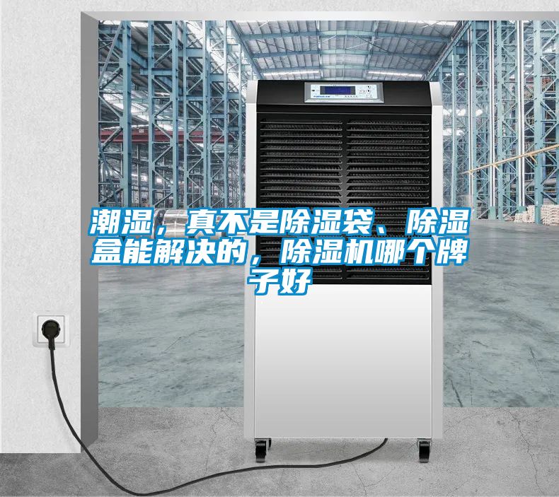 潮濕，真不是除濕袋、除濕盒能解決的，除濕機哪個牌子好
