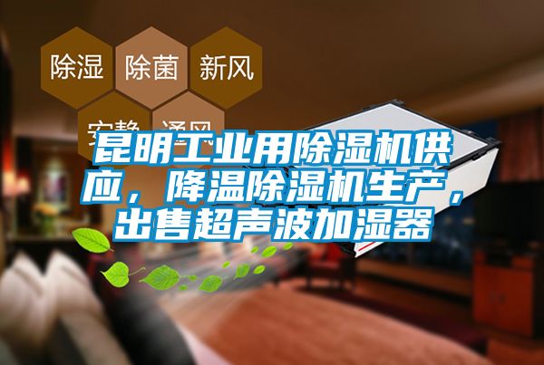 昆明工業用除濕機供應，降溫除濕機生產，出售超聲波加濕器