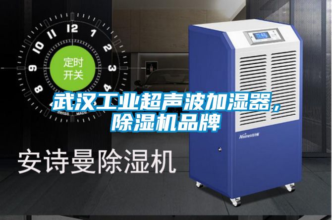 武漢工業超聲波加濕器，除濕機品牌