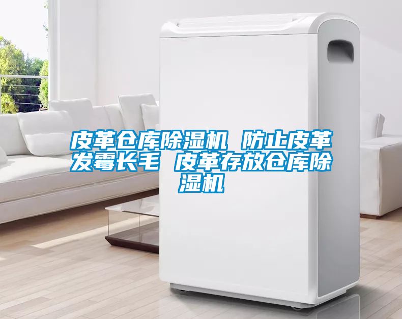 皮革倉庫除濕機 防止皮革發霉長毛 皮革存放倉庫除濕機