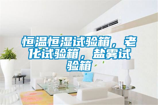 恒溫恒濕試驗箱，老化試驗箱，鹽霧試驗箱